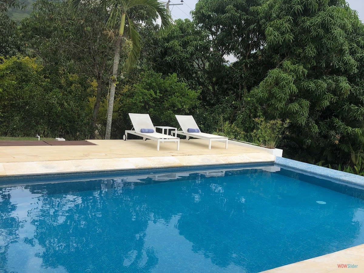 2_piscina_asoleadoras